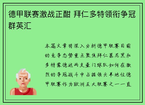 德甲联赛激战正酣 拜仁多特领衔争冠群英汇